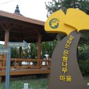 말하는 은행나무 이미지