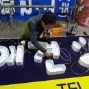 머피애견 이미지