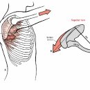 운동J GYM 이미지