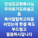 흑도라지흑청