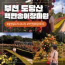 사적공원(하) 공중화장실 | 부천 가볼만한 곳 백만송이 장미원 엄마랑 다녀온 후기
