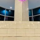 맨앤독 애견카페 네이버블로그