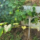 만물농원 이미지