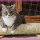 계양동물병원 이미지