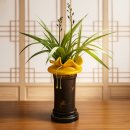 이지플라워 이미지