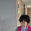 천안쌍용요양병원 | 천안재가복지 누리온재가복지센터 방문요양 서비스 체험 후기