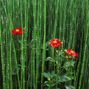 문화동018 이미지