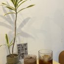 자산동101 | 마산 자산동 신상카페 여느날