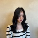 빌레트헤어