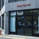 로즈 플라워(ROSE FLOWER) 이미지