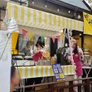 로망스 | 진해군항제 경화역 로망스다리 후기｜벚꽃 만개 인생샷 + 주차 꿀팁