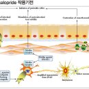 변비형 과민성 장증후군 하제 레졸로정 이미지