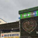 강릉월화거리 | [2025 강릉 월화거리 야시장 후기] 맛집, 냉면구이, 주차