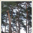 바우길 14구간 이미지