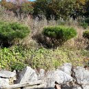 태양부동산중개사무소 이미지