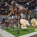 대덕대로-12 이미지