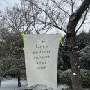 구르는 제주 이미지