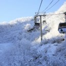 계룡종합카 이미지