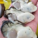 통영굴 조개구이 이미지