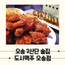 1KG치킨 추천 모임하기 좋은 오송 술집, 도시맥주 청주오송점