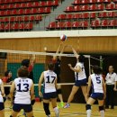 상아배이길 이미지