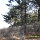 송전목장 이미지