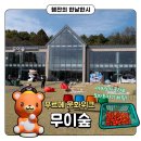 푸르메 | 여주 베이커리 카페 &#39;무이숲&#39; &lt;푸르메 문화위크&gt; 후기 (마비노기 콜라보/토마토 따기 체험)