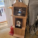 진이와보리의하루 이미지