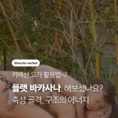 키넥션