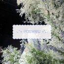 옥계2공단로1R-3 | [구미BW웨딩하객후기]주차장/셔틀버스/4층보네르홀/뷔페/구미웨딩홀/구미웨딩하객후기