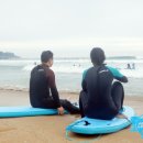 코코넛제주 이미지