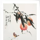 서담도 이미지