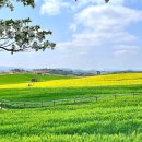 관식이 농장 이미지