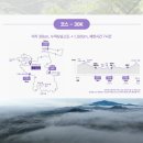 디스커버리제주점 | 2026 제주오름트레일런 30k후기