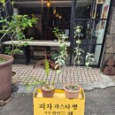 솔바위 | 제주시 양식 피자 파스타 금요일의 아침 조금