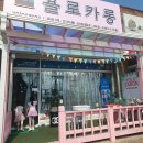 욜로카롱