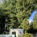 가양8단지(아) | [부동산 임장 #2] 서울 강서구 가양동 | 마지막 남은 서울 6억대 아파트, 근데 한강뷰?