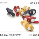 (주)와이투어 이미지