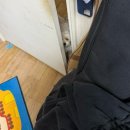 개 키우는 언니 | [ 강아지 일상 | 2026년 2월 ] 강아지는 마음이 아니라 지갑으로 키우는 것,,?