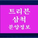 교동정보