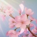 더 머물다 이미지