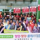 레드 써클 이미지