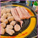 신마포갈매기 이미지