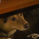 제주도게스트하우스 유로민박 이미지