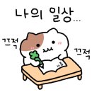 365평화한의원 이미지