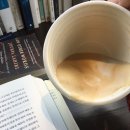 카페닐스 이미지