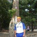 매탄공원 이미지