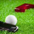 선인스크린 이미지