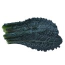 뉴그린팜 이미지