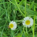 원주굽이길 원8코스 흥업캠퍼스낭만길 | 원주굽이길 원8코스(흥업캠퍼스낭만길)